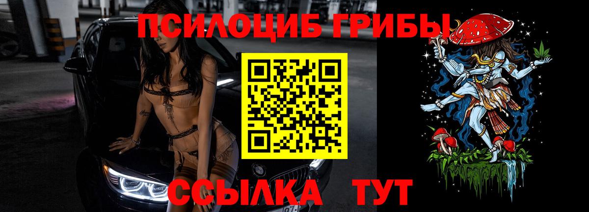 Лениногорск  Псилоцибиновые грибы ЛСД  Псилоцибиновые грибы прущие грибы  Вход с VPN 